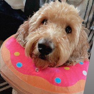 Meet your Posher, Tina